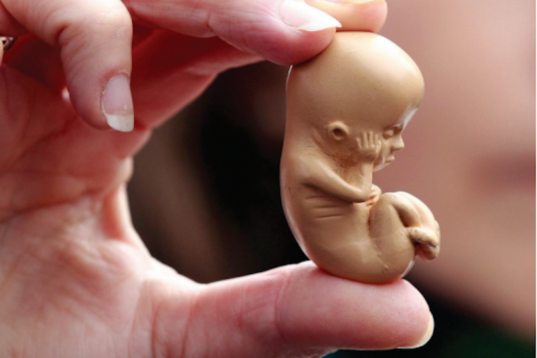 Podrían ampliar alternativas para permitir aborto. Foto: Especial