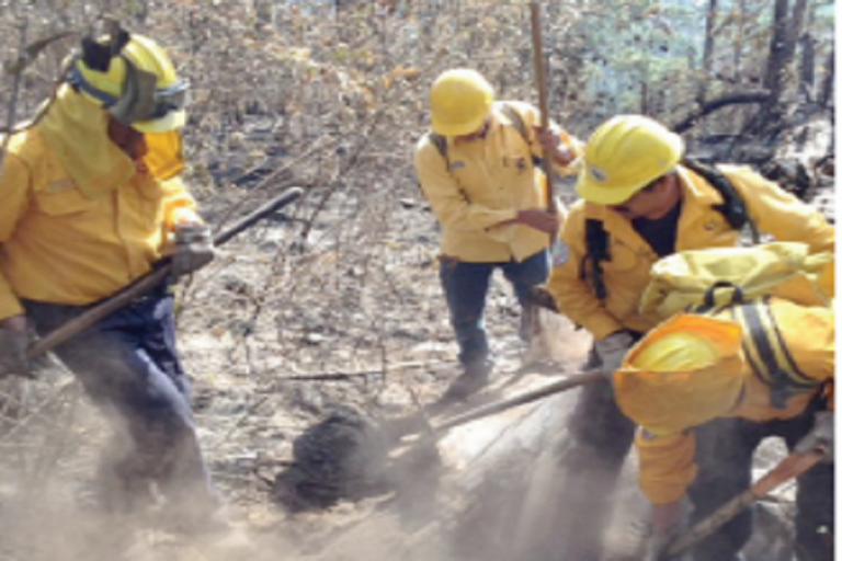 Se debe a quema incontrolada por siembra. Foto: Especial