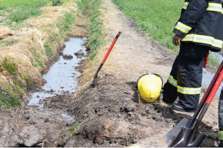 Se extendió sobre terreno de cultivo. Foto: Especial