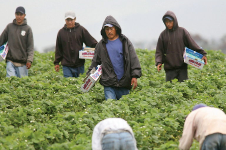Se ttrabajará donde se exulsan más migrantes. Foto: Especial