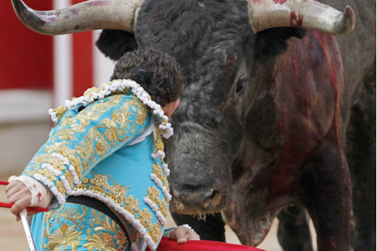 Sólo esperan respuesta de los ganaderos. Foto: Especial
