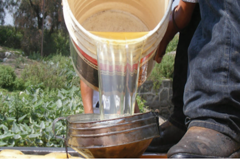 Aumentan operativos para combatir este delito. Foto: Especial