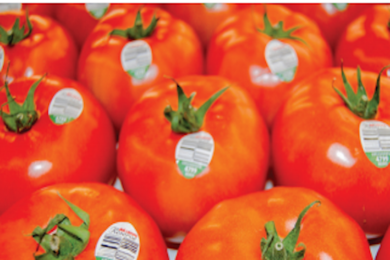 Buscan colocar productos en Asia. Foto: Especial