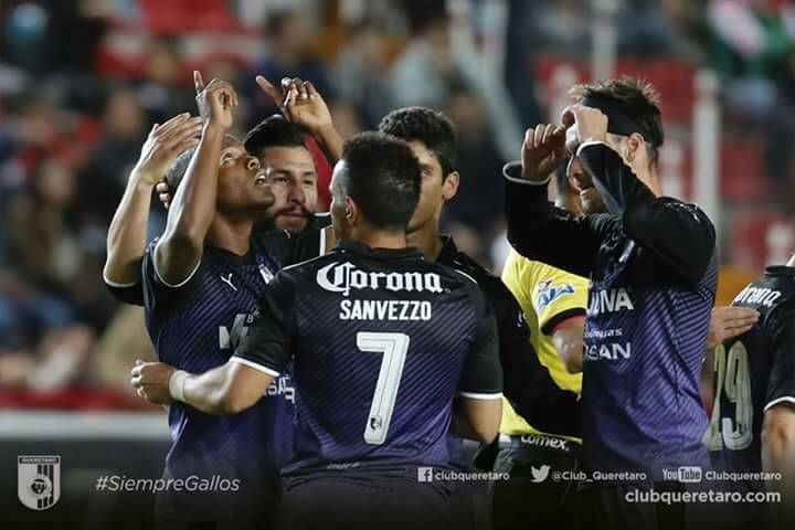Gallos de  Querétaro