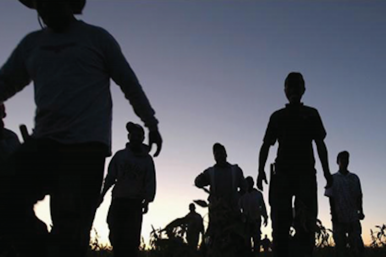 Hay condiciones para ofrecer empleo. Foto: Especial