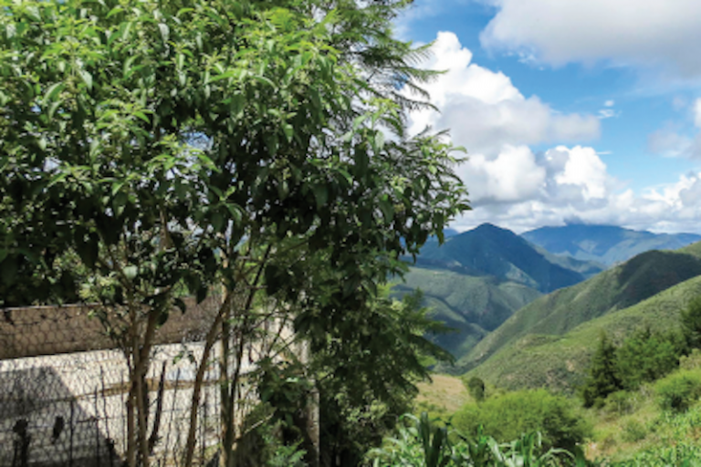 Hay voluntad pero no recursos. Foto: Especial