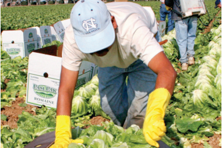 Ofrecen oportunidades de trabajo y estabilidad. Foto: Especial