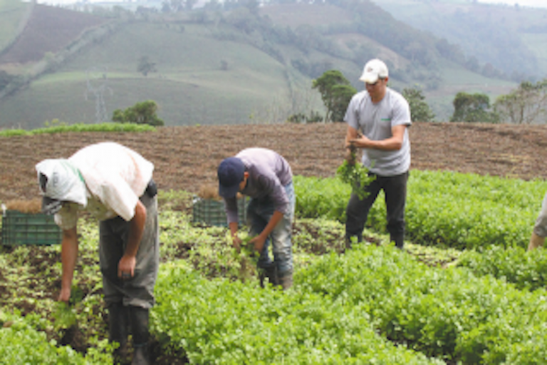 Pega al estado recorte. Foto: Especial