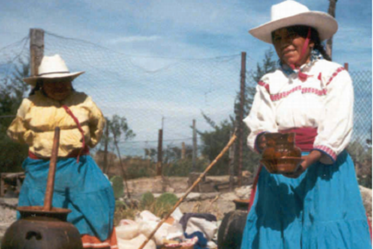 Podrían acceder a regidurías. Foto: Especial