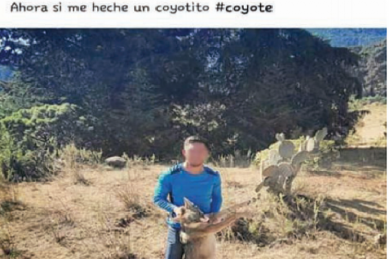 Presume en redes sociales cadáver del animal. Foto: Especial