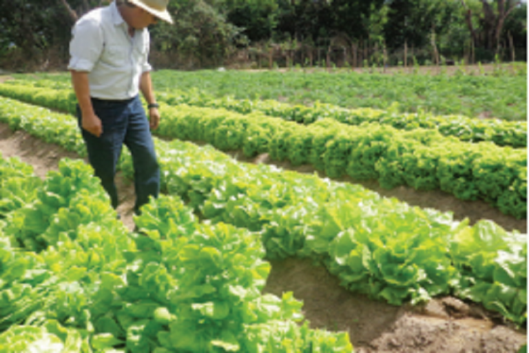 Prevalecen exportaciones agroalimentarias. Foto: Especial
