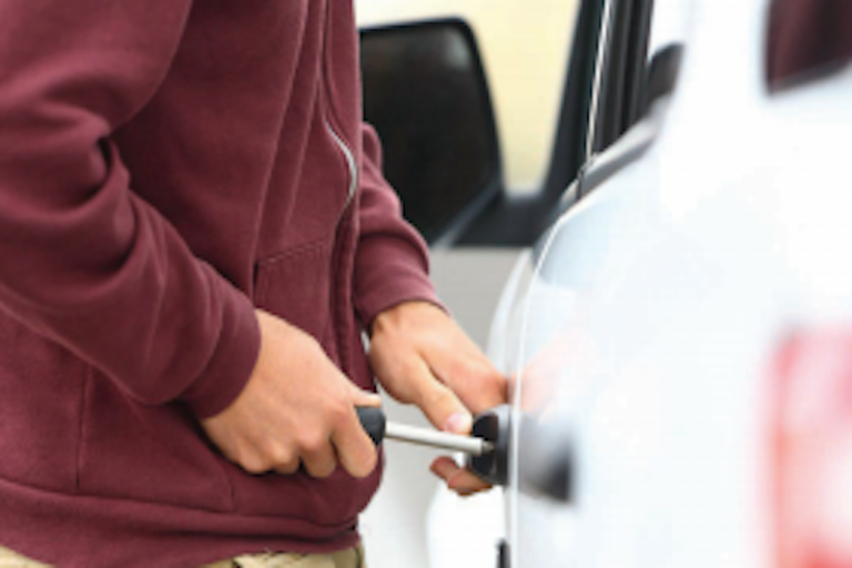 Se implementan operativos para evitar el ilícito. Foto: Especial