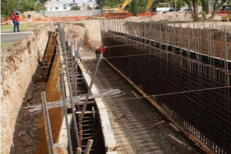 Se requieren de 6 a 10 drenes. Foto: Especial