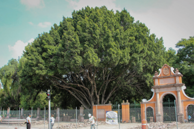 Retraso. Foto: Especial