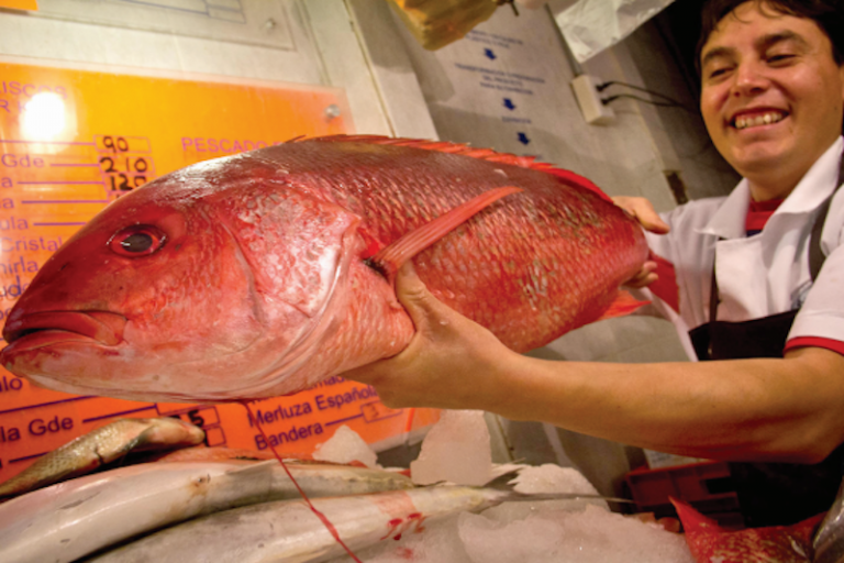 Pescado. Foto: Especial