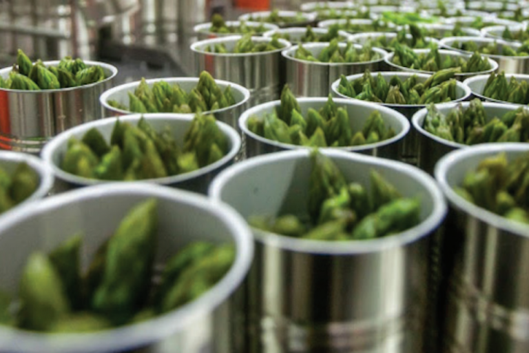 Alimentos. Foto: Especial