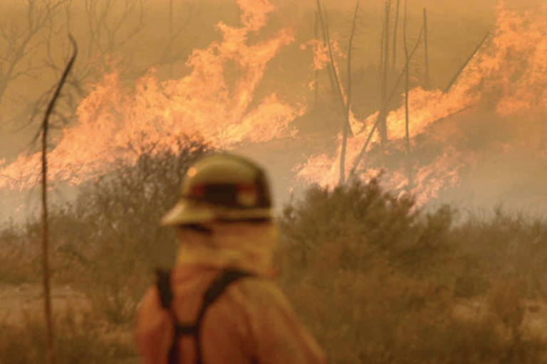 Incedios forestales. Foto: Especial