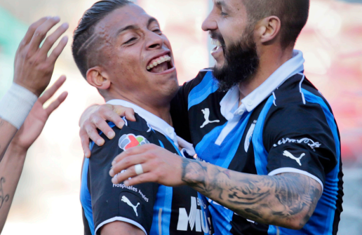 Gallos. Foto: Especial