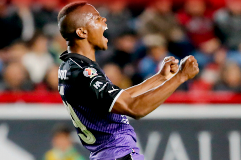 Gallos. Foto: Especial