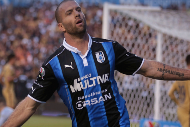 Gallos. Foto: Especial