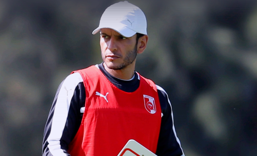 Gallos. Foto: Especial