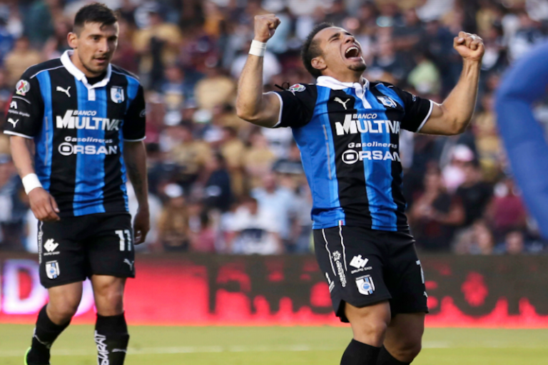 Gallos. Foto: Especial