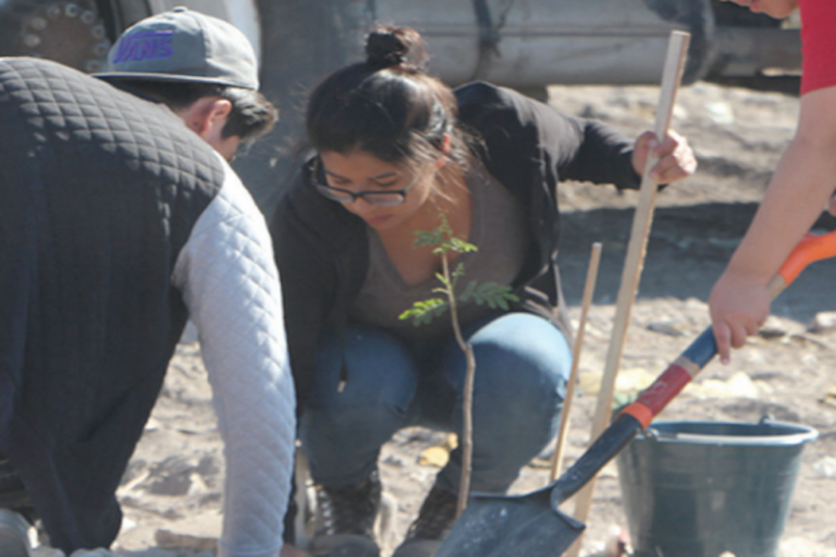 Medio ambiente. Foto: Especial