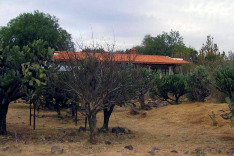 Suelo forestal. Foto: Especial