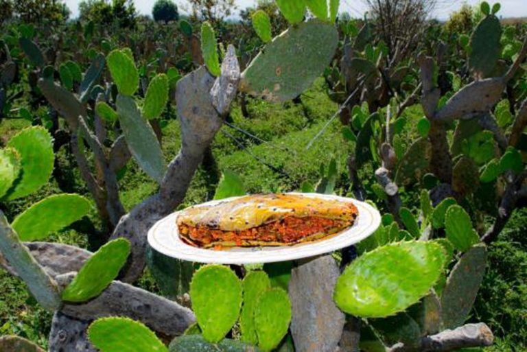 FERIA GASTRONÓMICA-ARTESANAL DEL NOPAL