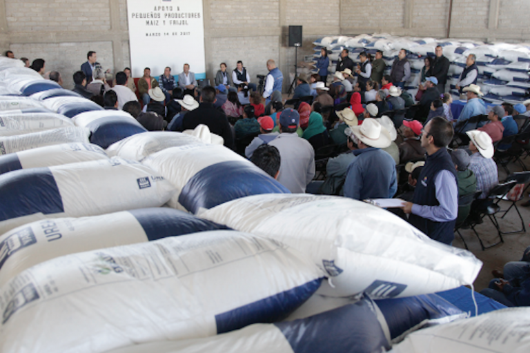 Campesinos. Foto: Especial