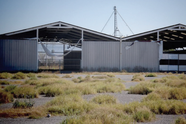 Almaven. Foto: Especial