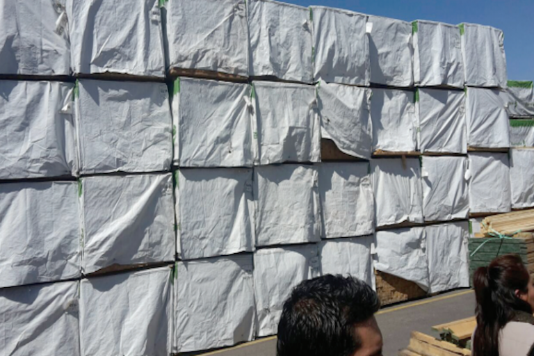 Confiscación de madera. foto: Especial