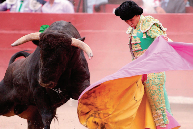 Torero. Foto: Especial