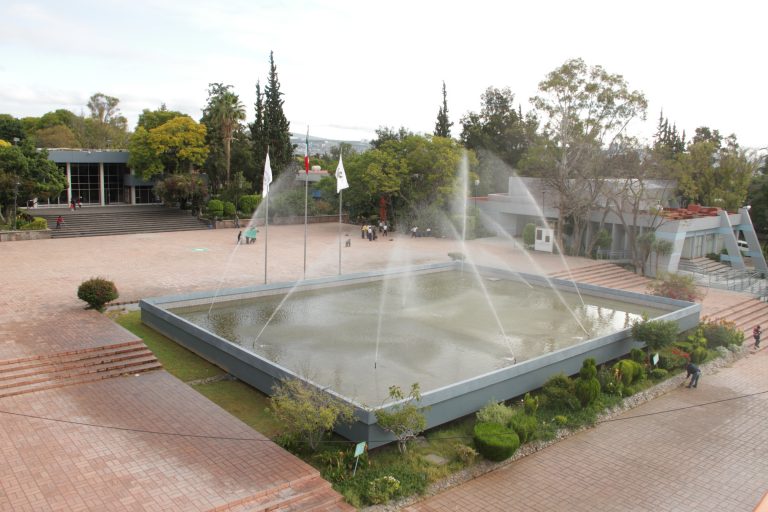 Imagen tomada de Internet