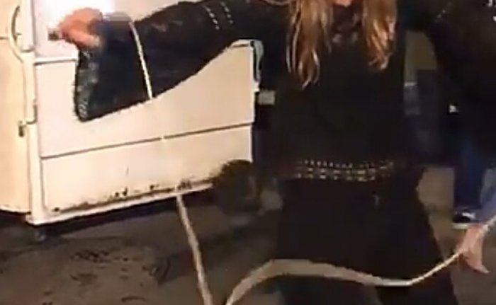 #LadyToques. Foto: Captura de pantalla del video