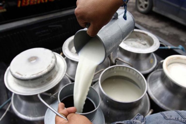 leche: Foto Especial