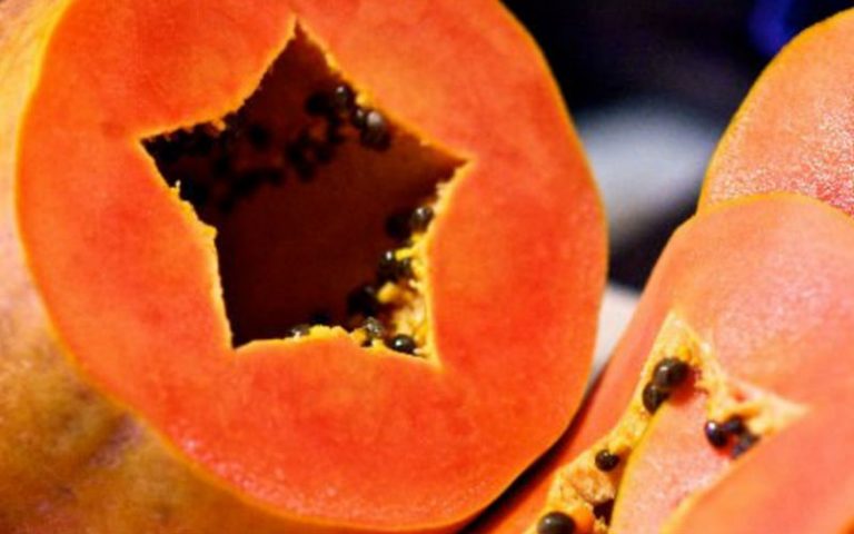 Twitter_Papaya