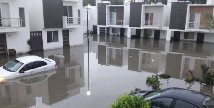 Imagen tomada de Twitter