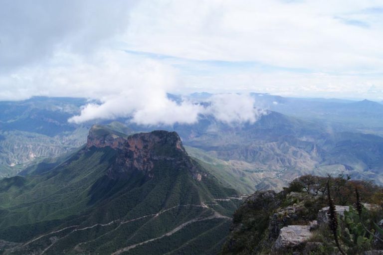 La construcción de un camino rural afectó el cerro de la Media Luna; denuncian daños a la reserva de la biósfera. /Foto: Especial