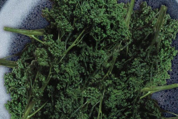 Huazontle. Foto: Especial