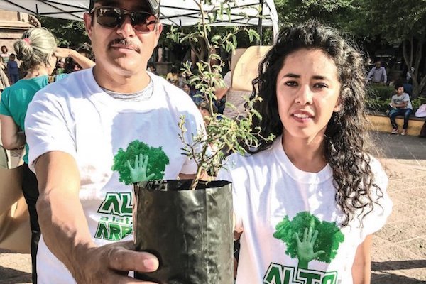 Reforestación. Foto: Obture Press