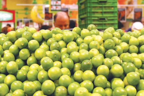 Alimento. Foto: Especial