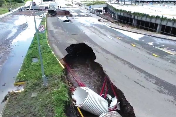 Bache. Foto: Especial