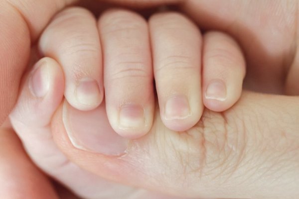 Recien nacido. Foto: Especial