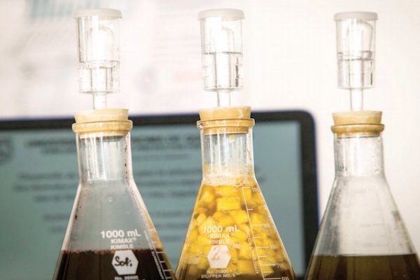 Laboratorio. Foto: Obture Press