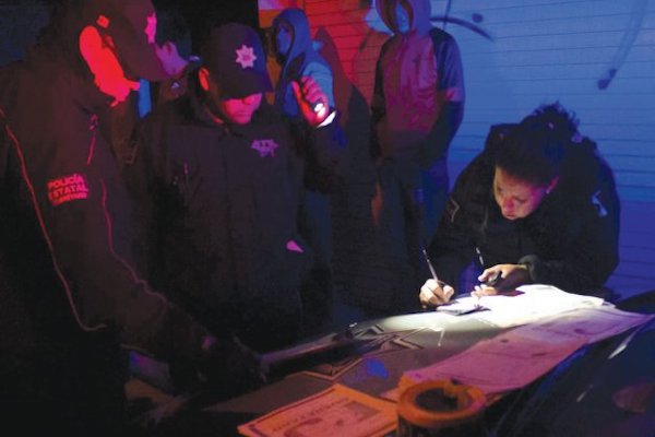 Cateo. Foto: Obture Press