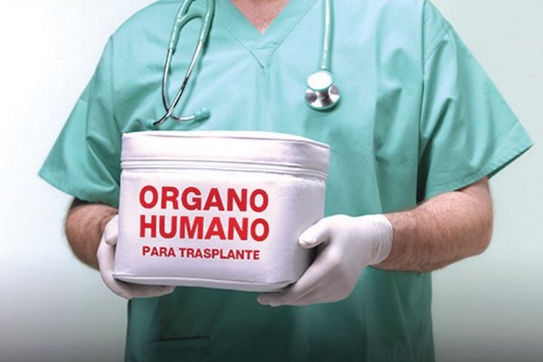Donación de órganos. Foto: Especial