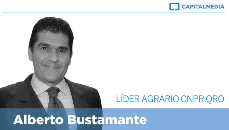 Alberto Bustamante