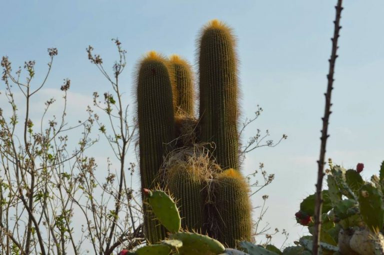 Foto: Facebook @JBUAQ