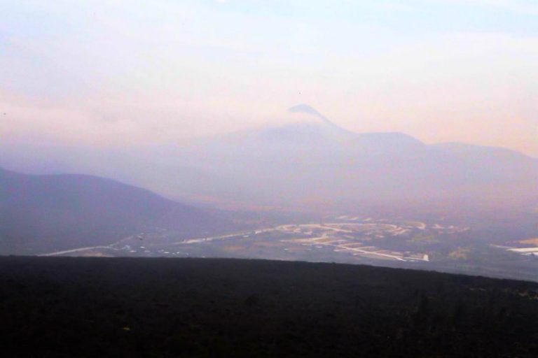 Foto: Twitter  @SedeaQro